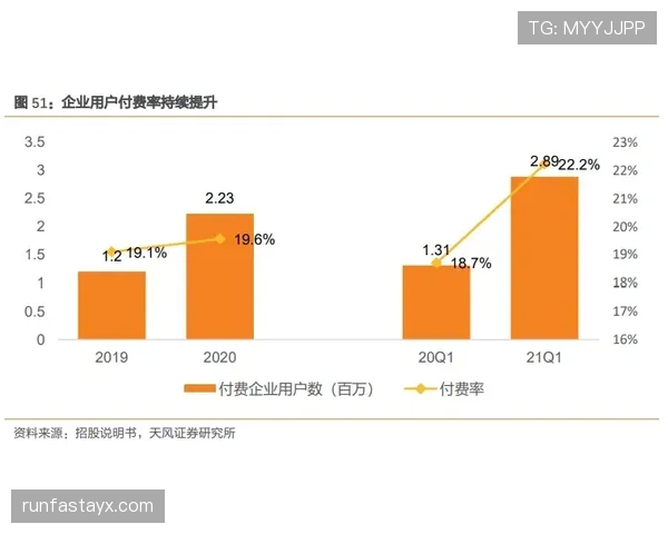 帕利尼亚与赖斯：覆盖能力及全面性对比分析