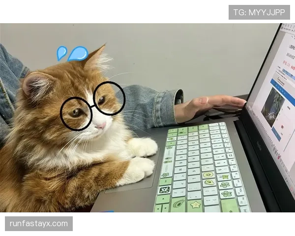 掌敏洁家的猫吃的都比我一个月工资多